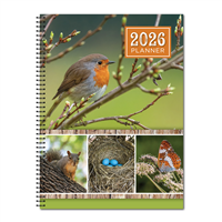 Daily Planner Daily Planner